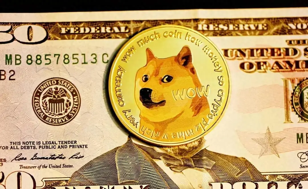 随着 DOGE 成为世界十大加密货币，狗狗币