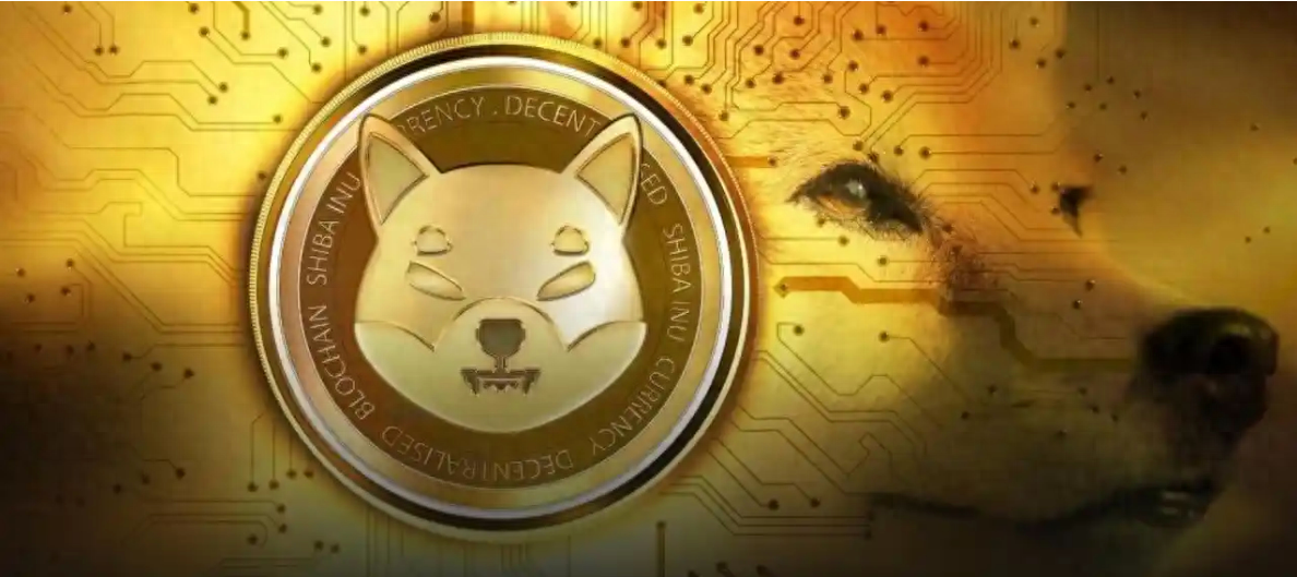 继比特币之后引领加密货币反弹：狗狗币和柴犬
