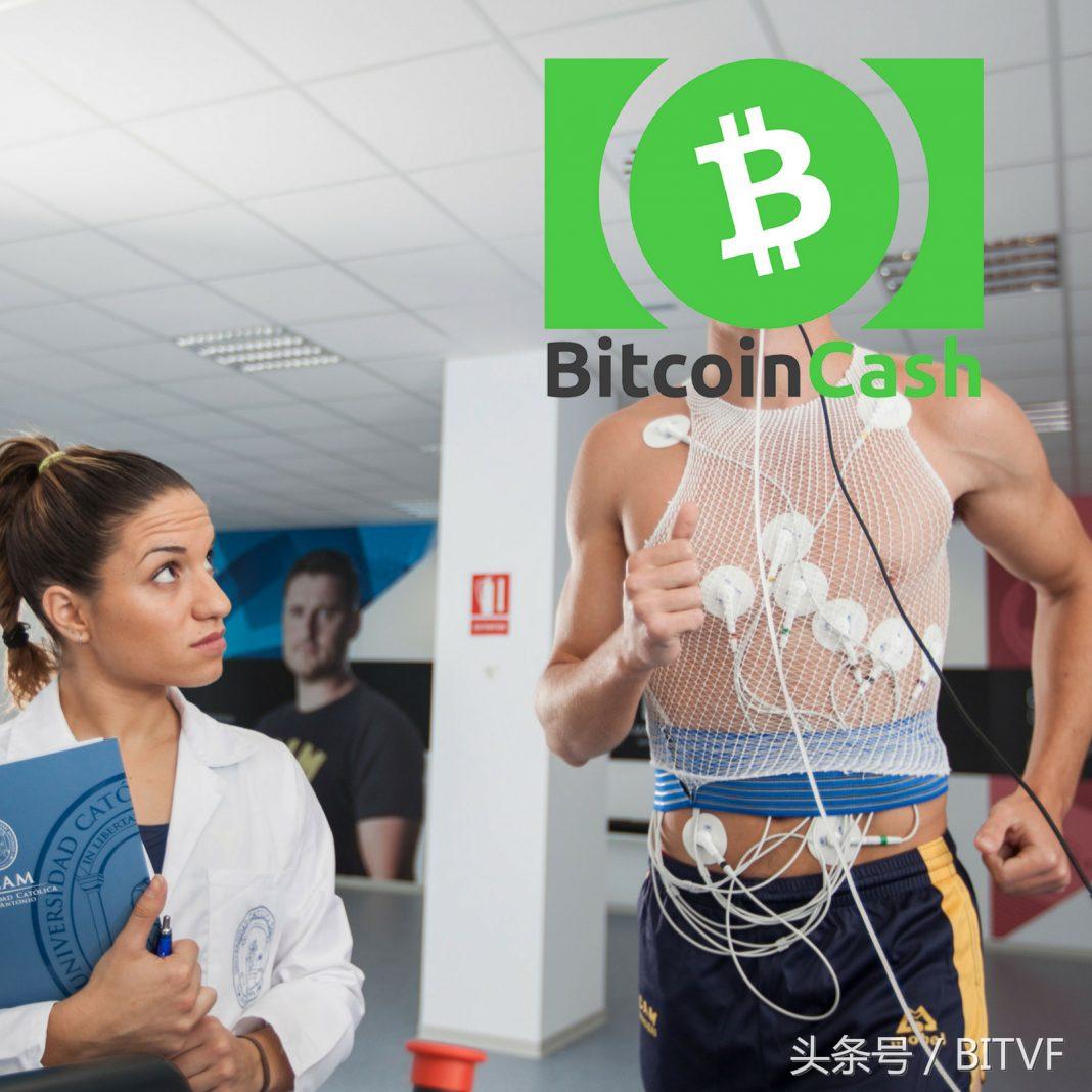 比特现金可以实现最初的承诺吗？真实世界的压力测试即将到来