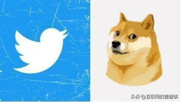马斯克“狗头”上线，狗狗币价格飙升30%！