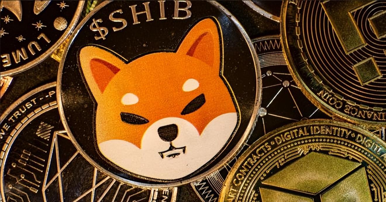分析SHIB价格：柴犬调整趋势或将转折，涨幅或突破200%