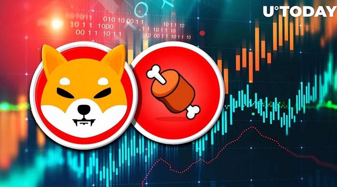 柴犬代币BONE暴涨25%的背后是什么？