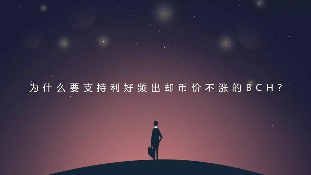 比特现金bcc前景如何，为什么有那么多人支持？