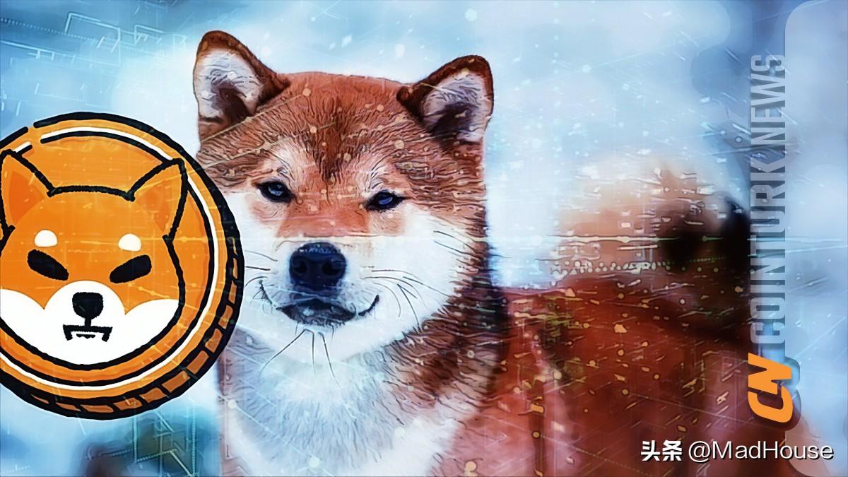 柴犬币生态中 BONE、SHIB 和 LEASH 的盈利能力差异