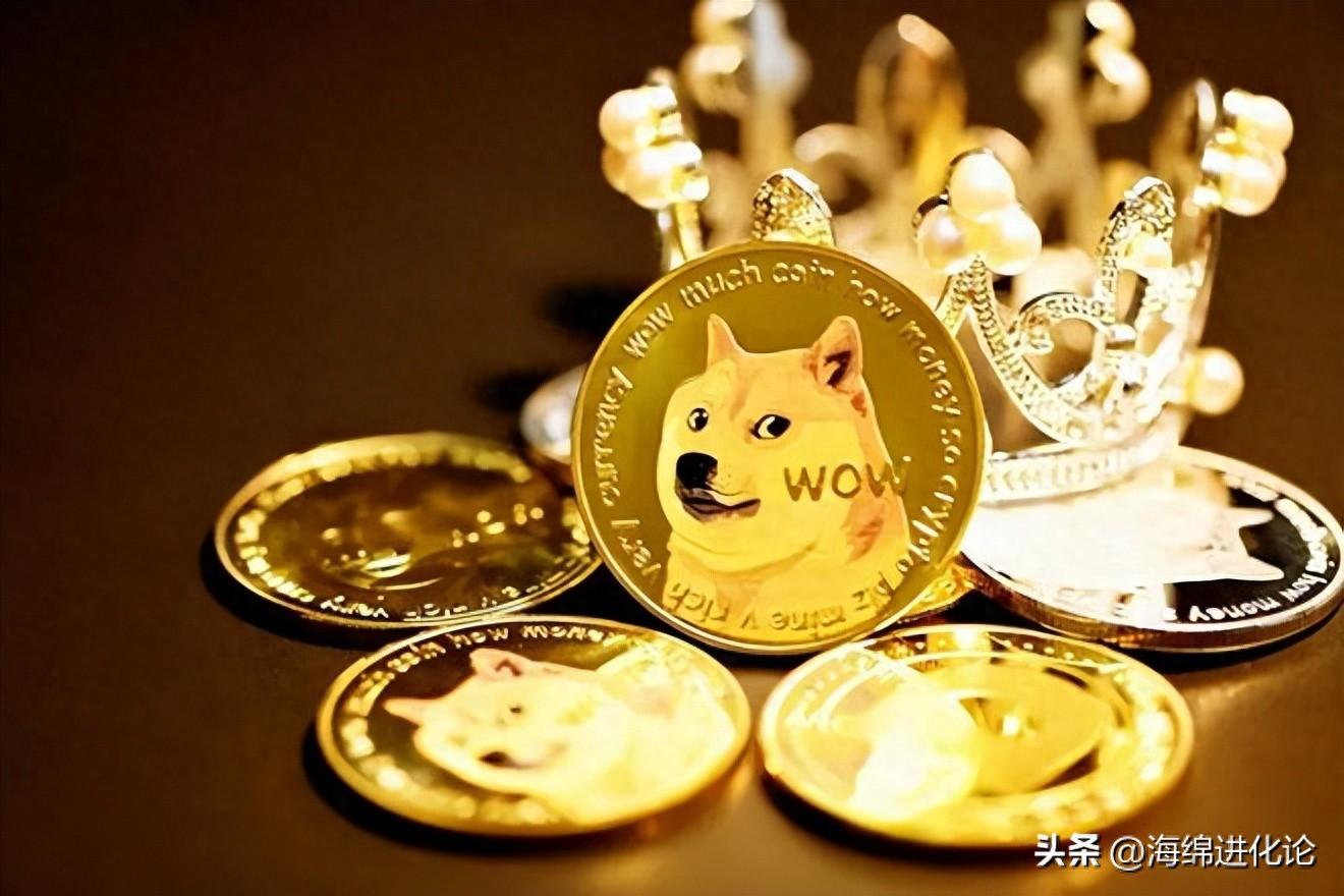 狗狗币（DOGE）本周末能飙升多高？