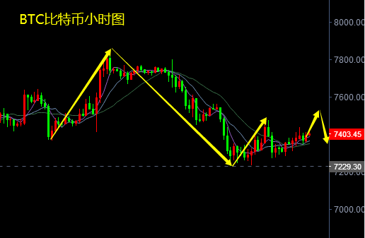 比特币连续暴跌承压调整，柚子强势继续低多