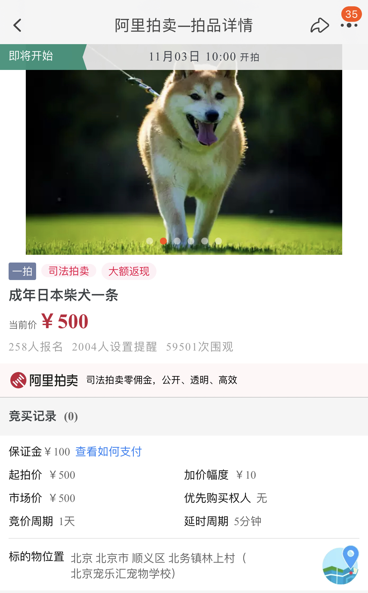 时隔3年，柴犬“登登”再一次被司法拍卖！主人