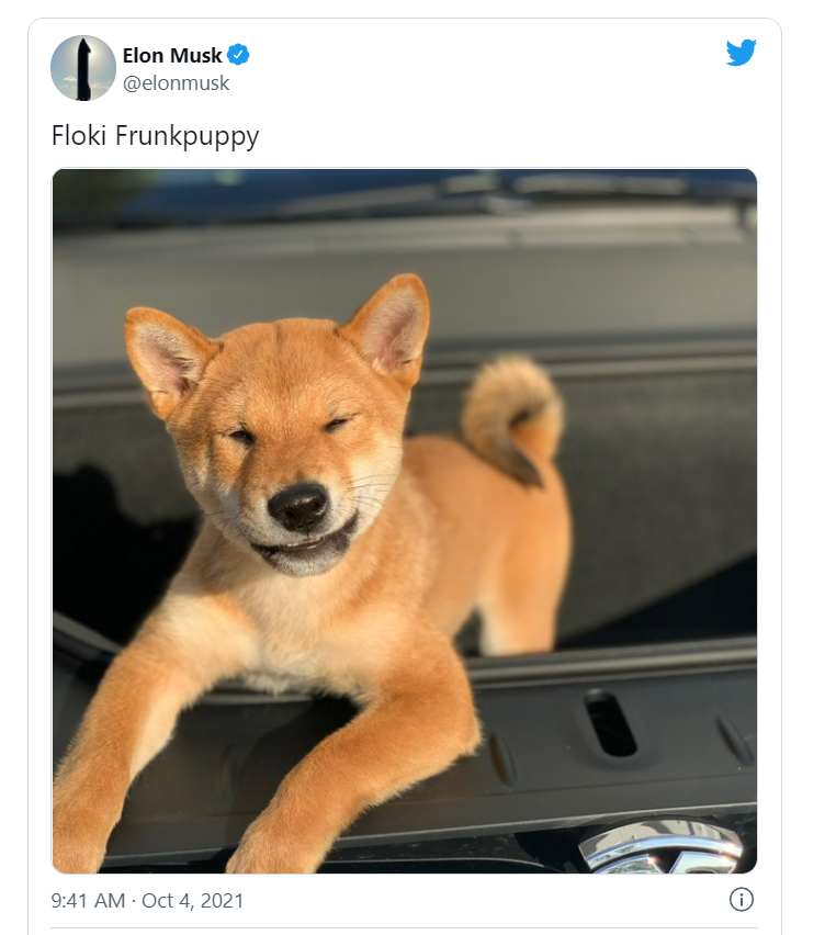 柴犬币周涨幅超200%，竟因马斯克晒出的一