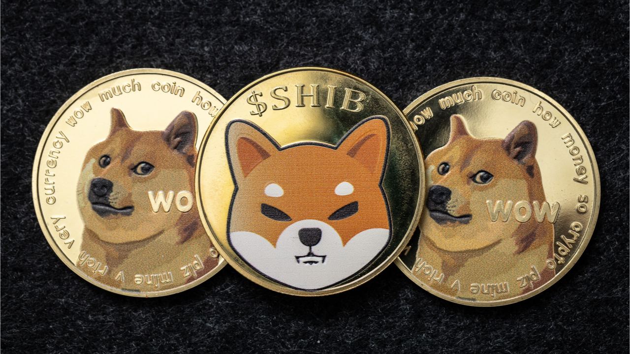 代币大屠杀——DOGE、SHIB 价格下跌，狗狗币自去