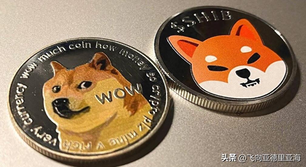 狗狗币(DOGE)在市场下跌中受挫，柴犬币(SHIB)的情