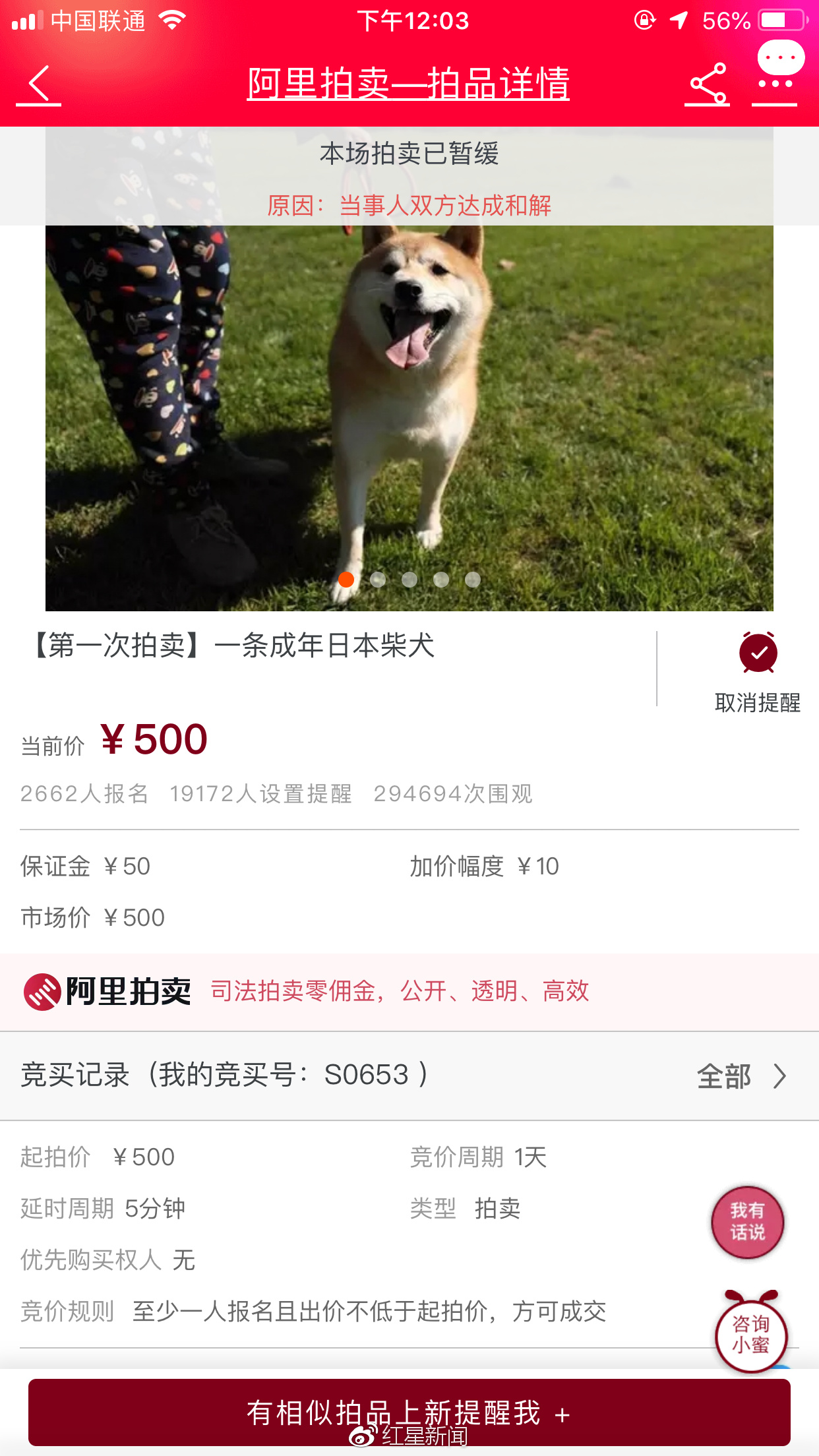 法院网上500元起拍卖柴犬续：主人已交全额欠款