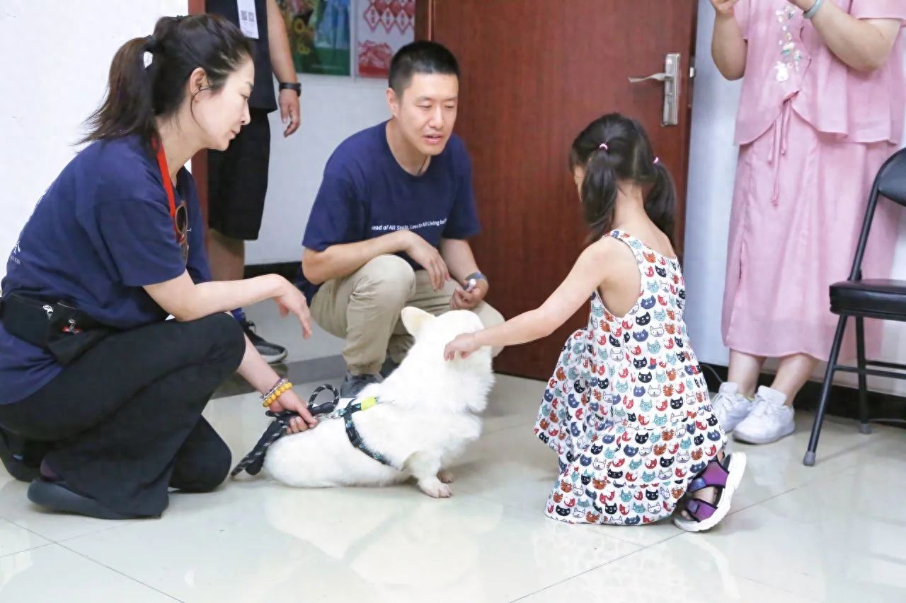 恶犬伤人之后，养犬人的必答题