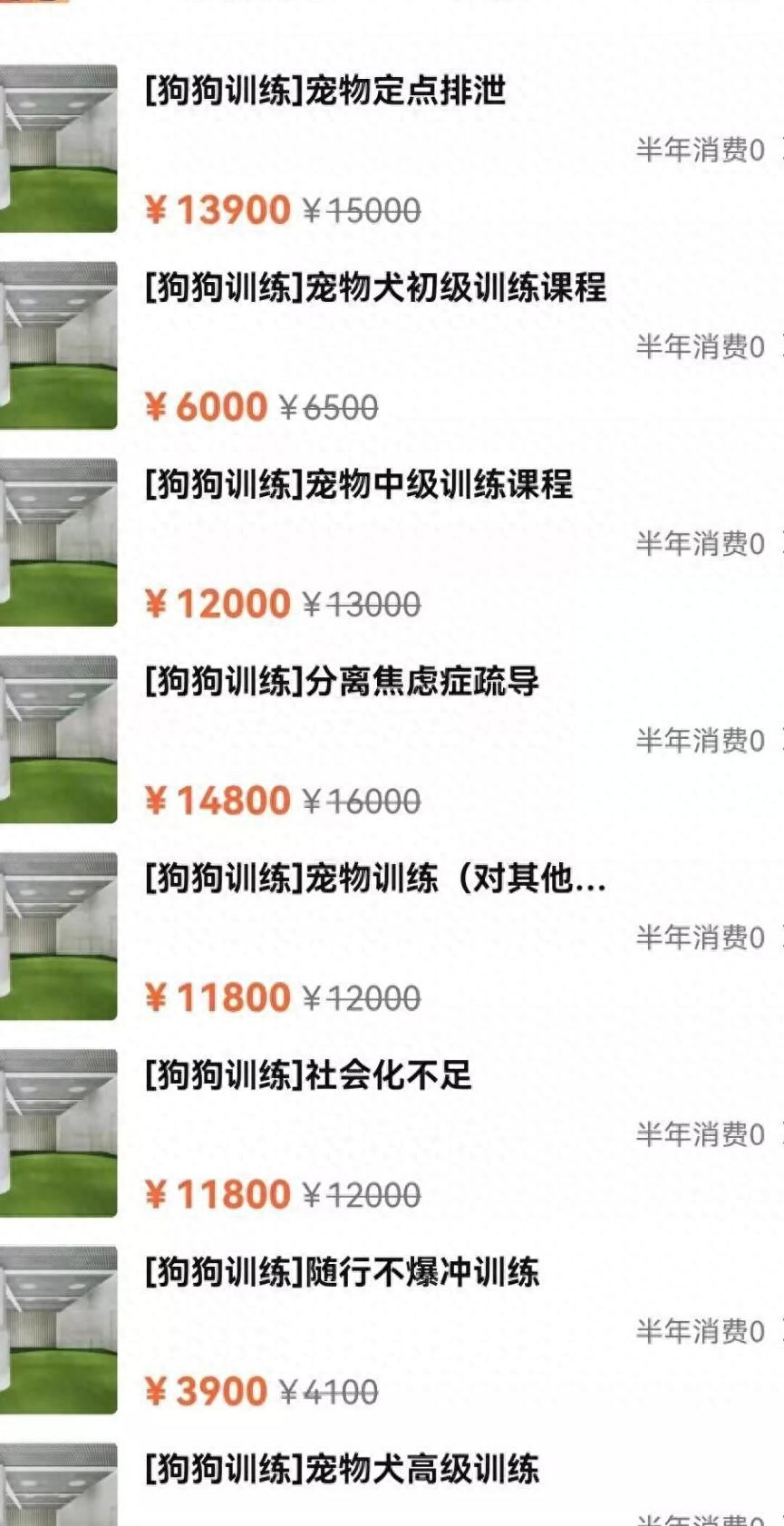 训练1只狗收费2万？宠物学校那么赚钱，为什么很