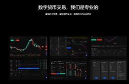 欧易平台官方网站usdt(欧 易数字 货 币交