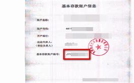 怎么开户比特币(基本户、一般户、外币户)